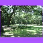 The Myrtles Plantation Grounds.jpg